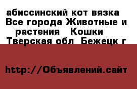 абиссинский кот вязка - Все города Животные и растения » Кошки   . Тверская обл.,Бежецк г.